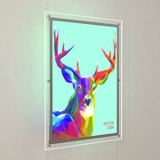 Large LED Light Pockets |