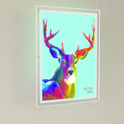 Large LED Light Pockets |
