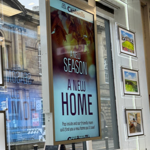 Advantages to retailers of using screens in their window displays