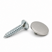 Wood Fixing Screws for Mirror Screw Caps