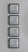 Claralight A3 landscape LED light pockets mounted four high
